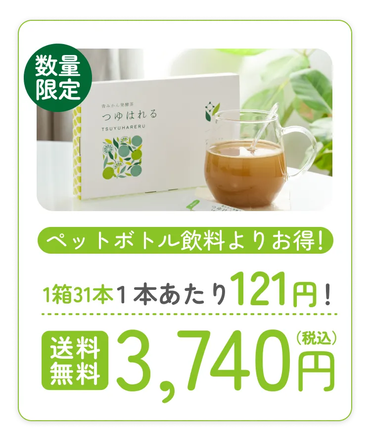 送料無料で3,740円（税込）