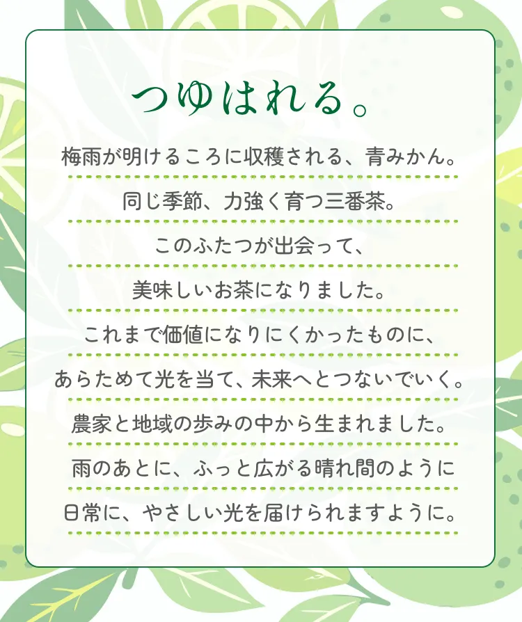梅雨が明けるころに収穫される、青みかん。同じ季節、力強く育つ三番茶。このふたつが出会って、美味しいお茶になりました