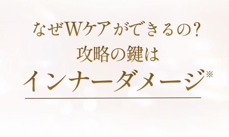 攻略の鍵はインナーダメージ