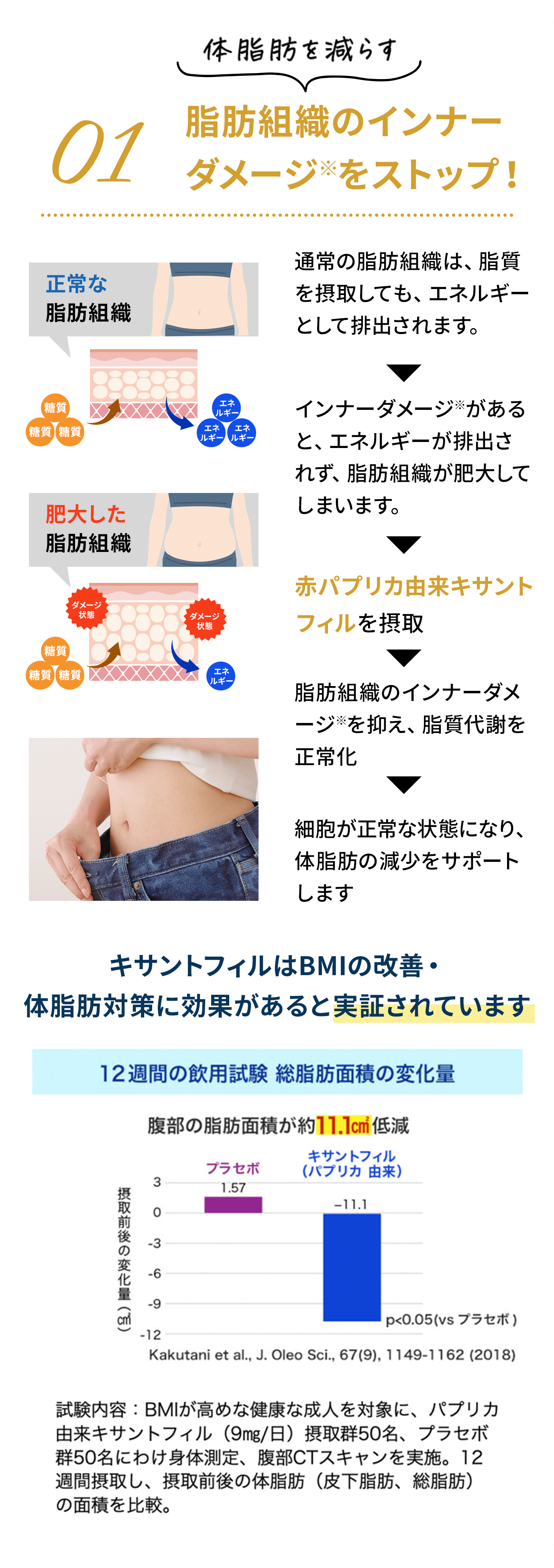 01 脂肪組織のインナーダメージ※をストップ！